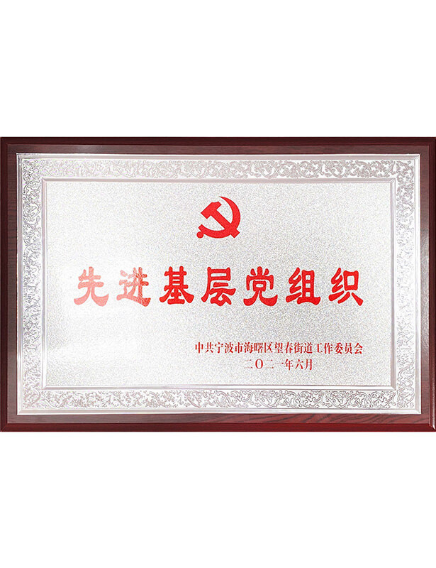 2021年先進基層黨組織